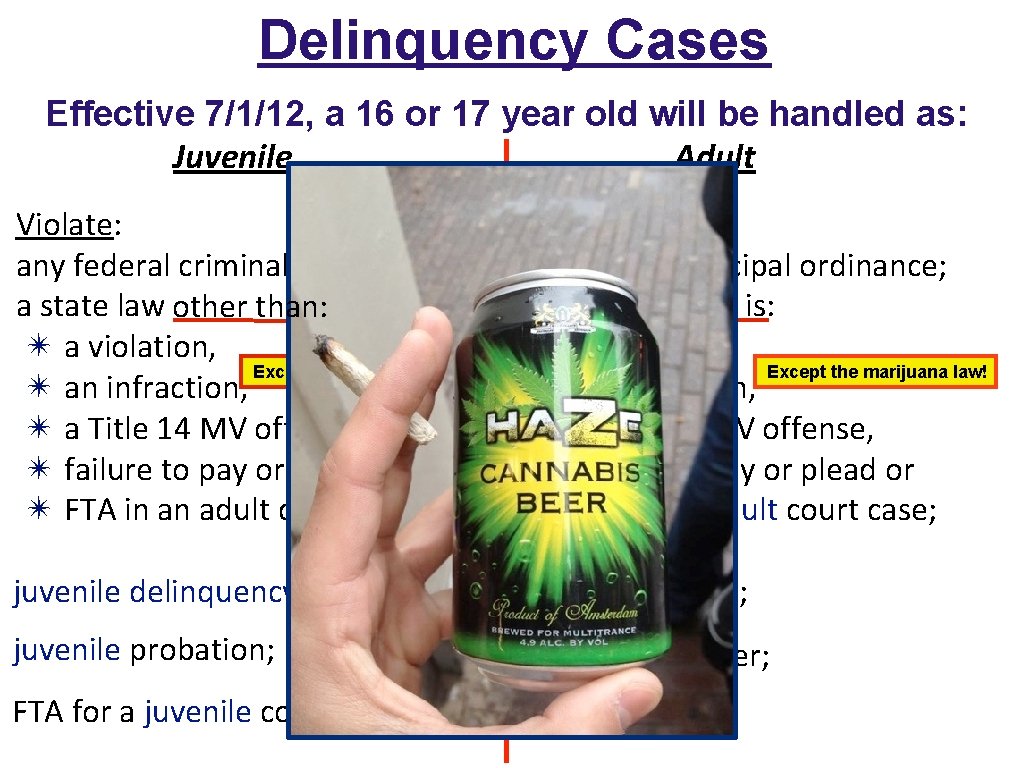 Delinquency Cases Effective 7/1/12, a 16 or 17 year old will be handled as: