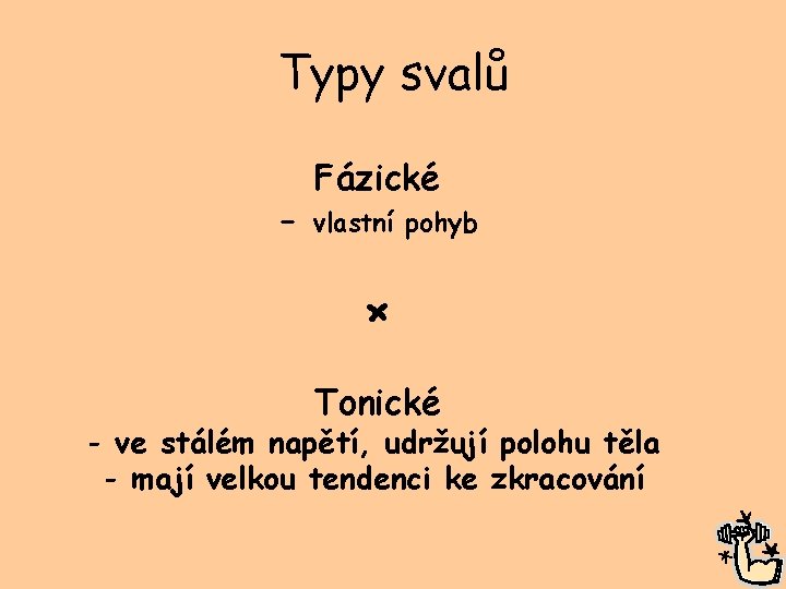 Typy svalů - Fázické vlastní pohyb × Tonické - ve stálém napětí, udržují polohu