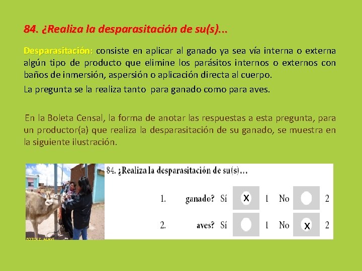 84. ¿Realiza la desparasitación de su(s). . . Desparasitación: consiste en aplicar al ganado