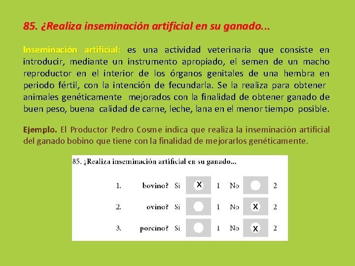 85. ¿Realiza inseminación artificial en su ganado. . . Inseminación artificial: es una actividad