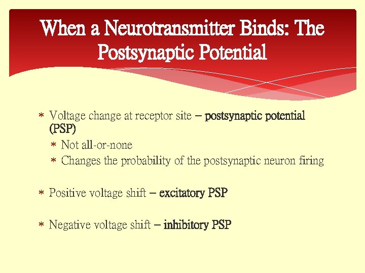 When a Neurotransmitter Binds: The Postsynaptic Potential Voltage change at receptor site – postsynaptic