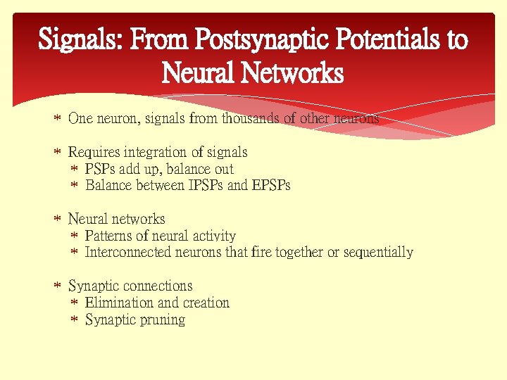 Signals: From Postsynaptic Potentials to Neural Networks One neuron, signals from thousands of other