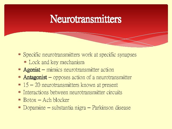 Neurotransmitters Specific neurotransmitters work at specific synapses Lock and key mechanism Agonist – mimics