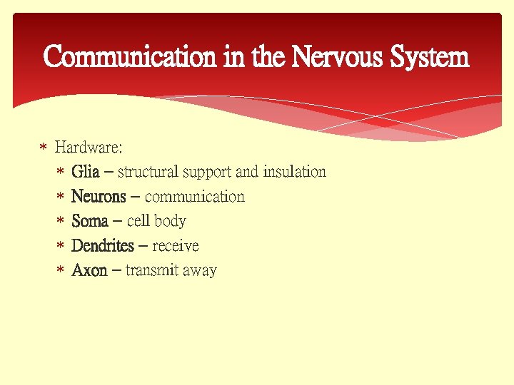 Communication in the Nervous System Hardware: Glia – structural support and insulation Neurons –