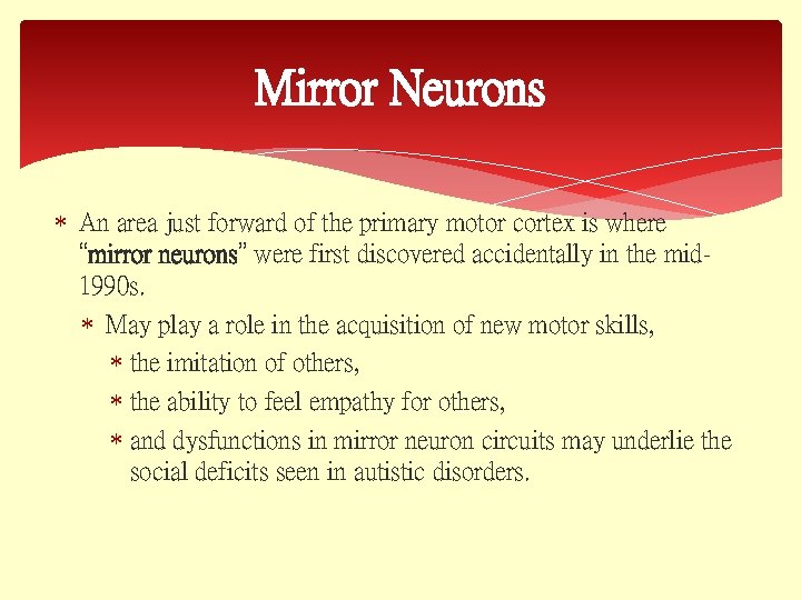 Mirror Neurons An area just forward of the primary motor cortex is where “mirror