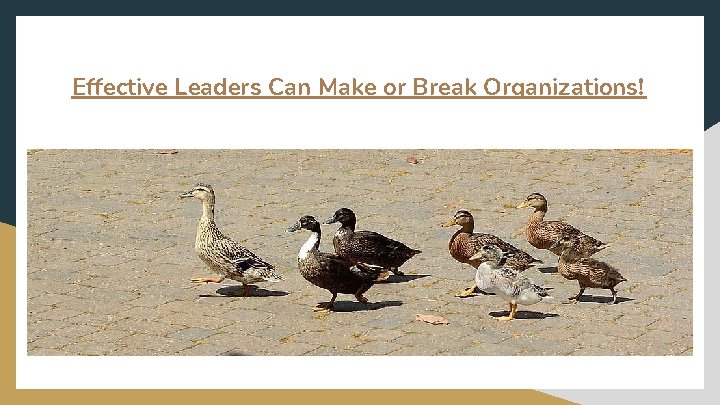 Effective Leaders Can Make or Break Organizations! 