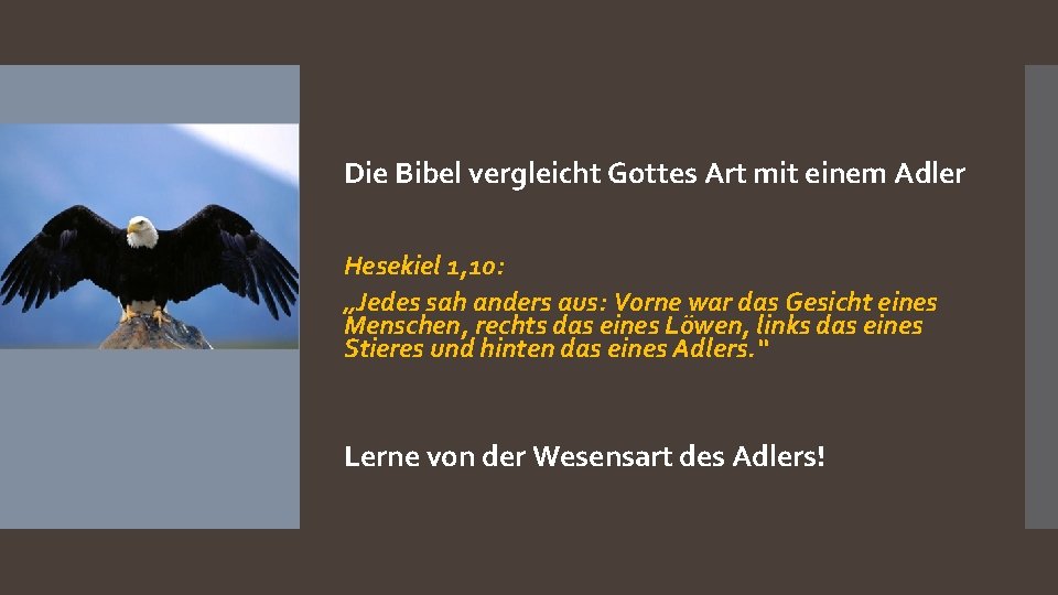 Die Bibel vergleicht Gottes Art mit einem Adler Hesekiel 1, 10: „Jedes sah anders