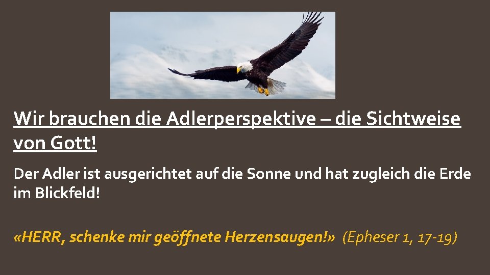 Wir brauchen die Adlerperspektive – die Sichtweise von Gott! Der Adler ist ausgerichtet auf