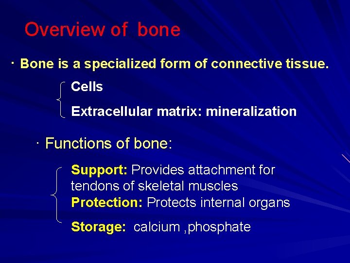 Overview of bone · Bone is a specialized form of connective tissue. Cells Extracellular