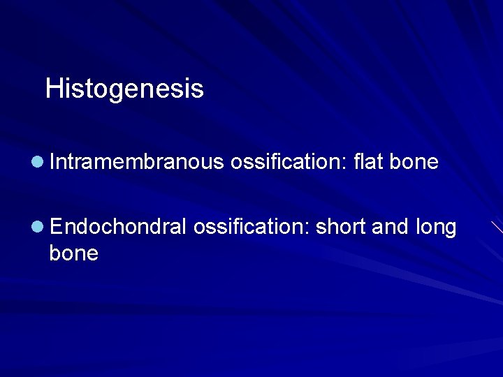 Histogenesis l Intramembranous ossification: flat bone l Endochondral ossification: short and long bone 