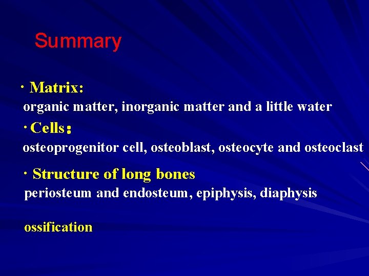 Summary · Matrix: organic matter, inorganic matter and a little water · Cells： osteoprogenitor