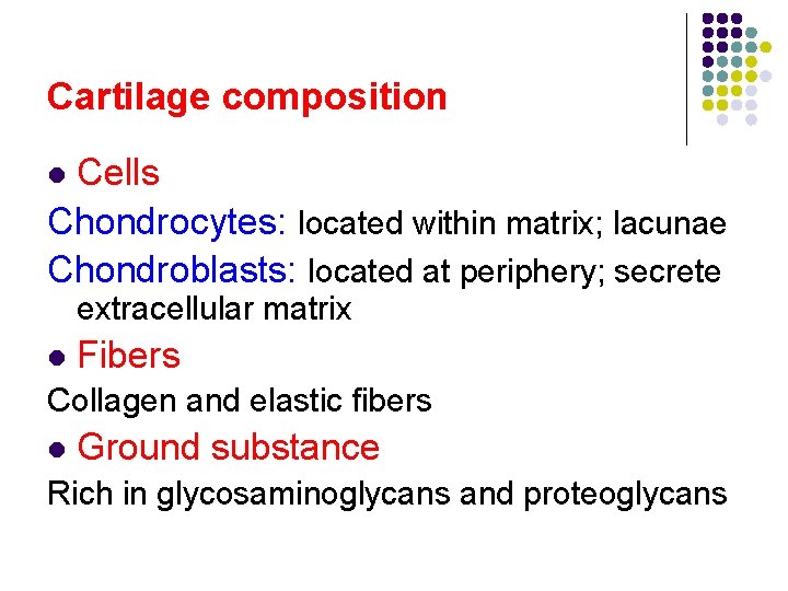 Cartilage composition Cells Chondrocytes: located within matrix; lacunae Chondroblasts: located at periphery; secrete l