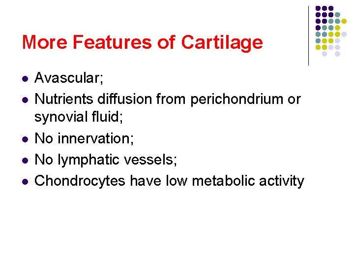 More Features of Cartilage l l l Avascular; Nutrients diffusion from perichondrium or synovial