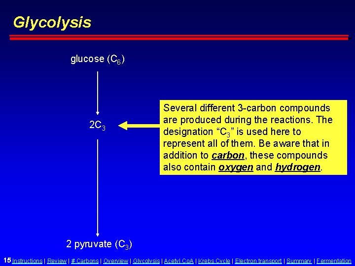 Glycolysis glucose (C 6) 2 C 3 Several different 3 -carbon compounds are produced