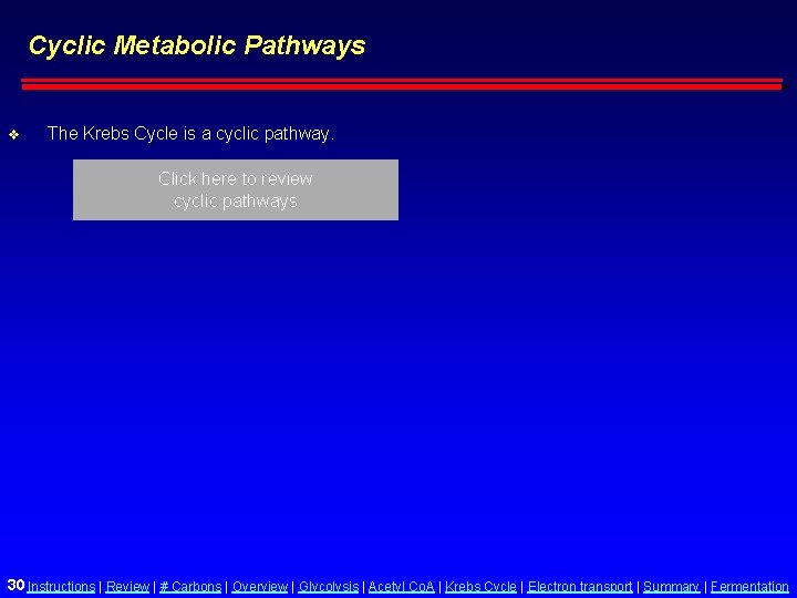 Cyclic Metabolic Pathways v The Krebs Cycle is a cyclic pathway. Click here to