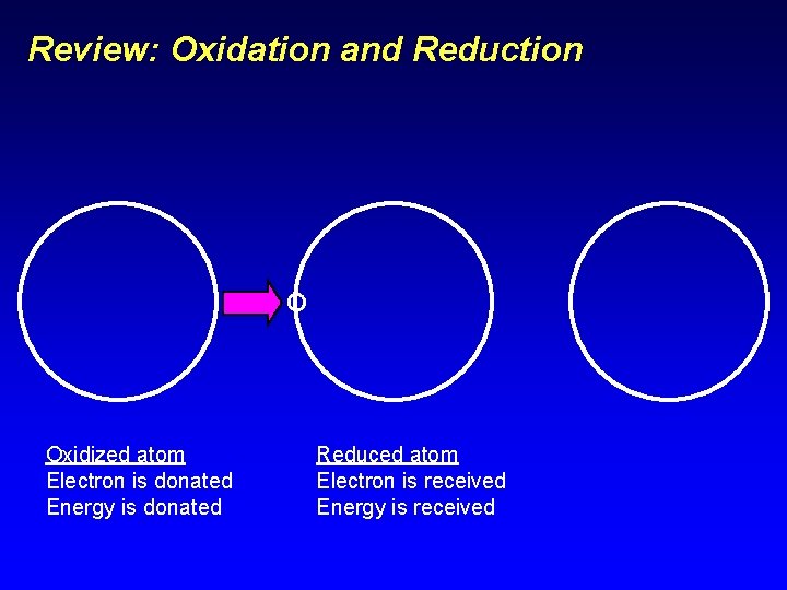 Review: Oxidation and Reduction Oxidized atom Electron is donated Energy is donated Reduced atom