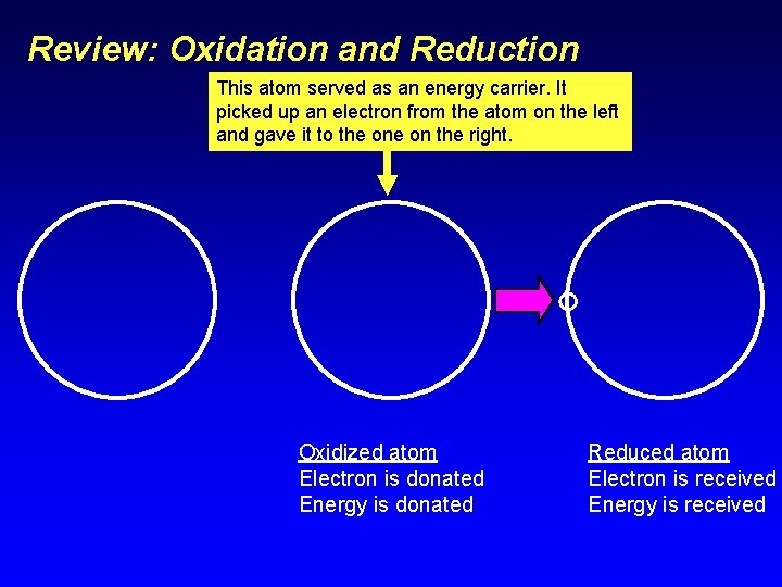 Review: Oxidation and Reduction This atom served as an energy carrier. It picked up