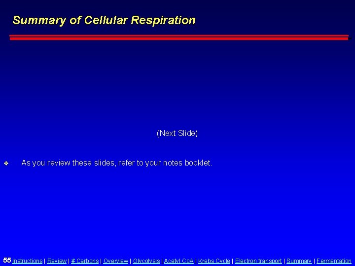 Summary of Cellular Respiration (Next Slide) v As you review these slides, refer to