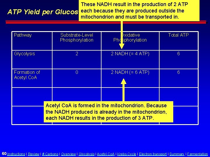 ATP Yield per Pathway These NADH result in the production of 2 ATP Glucoseeach