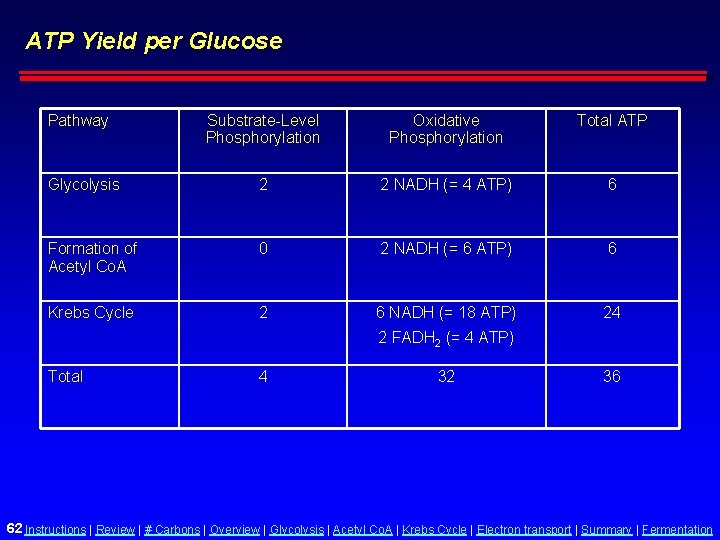 ATP Yield per Glucose Pathway Substrate-Level Phosphorylation Oxidative Phosphorylation Total ATP Glycolysis 2 2