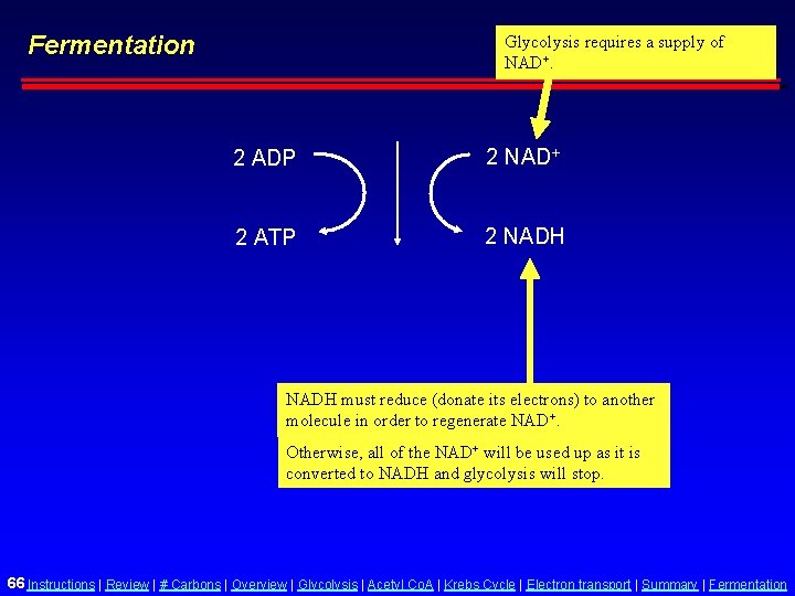 Fermentation Glycolysis requires a supply of NAD+. 2 ADP 2 NAD+ 2 ATP 2