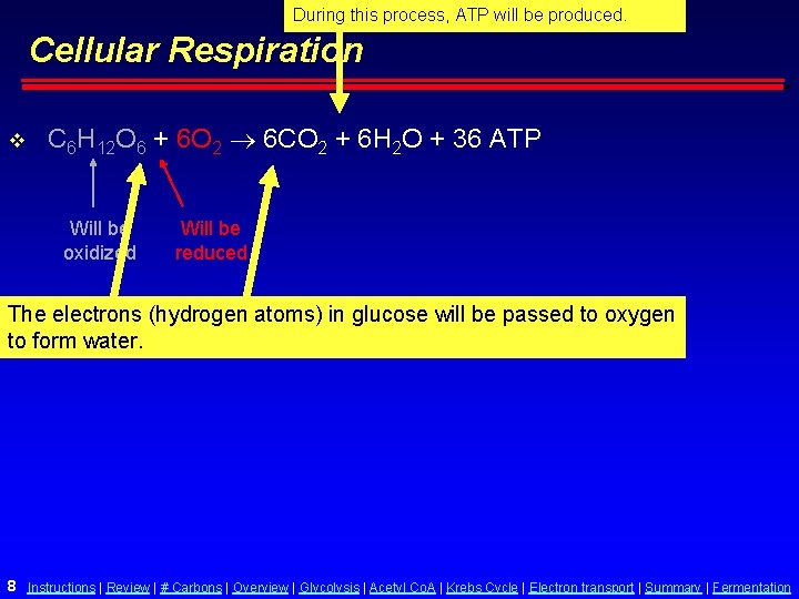 During this process, ATP will be produced. Cellular Respiration v C 6 H 12