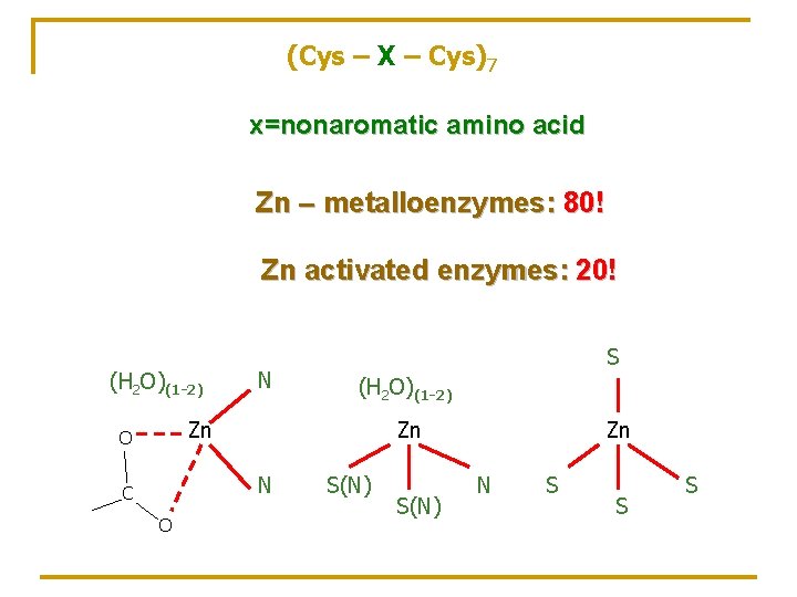 (Cys – X – Cys)7 x=nonaromatic amino acid Zn – metalloenzymes: 80! Zn activated