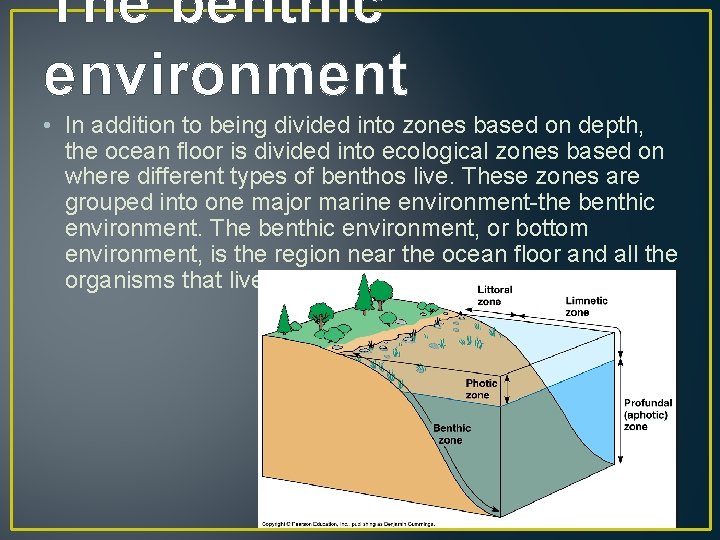 The benthic environment • In addition to being divided into zones based on depth,