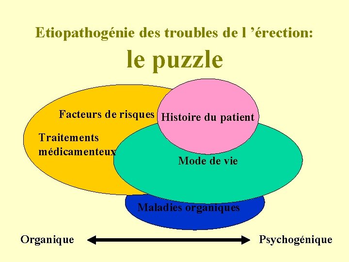 Etiopathogénie des troubles de l ’érection: le puzzle Facteurs de risques Histoire du patient