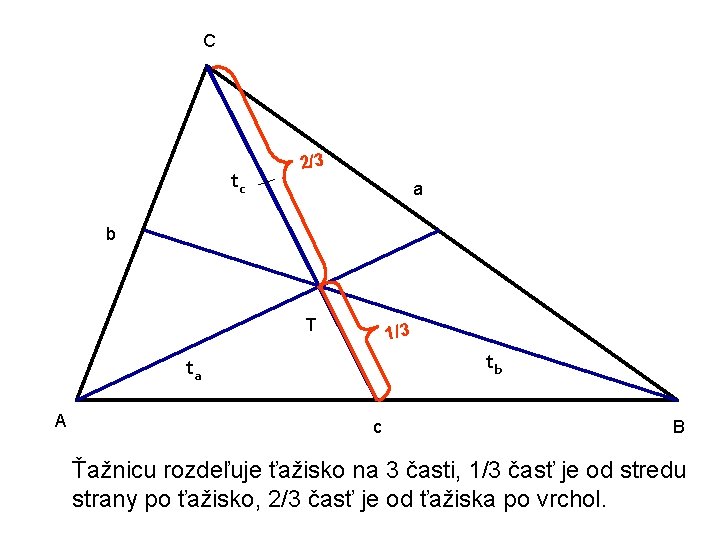 C tc 2/3 a b T 1/3 tb ta A c B Ťažnicu rozdeľuje