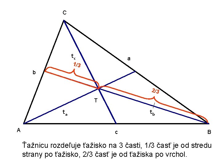 C tc a 1/3 b 2/3 T ta A tb c B Ťažnicu rozdeľuje