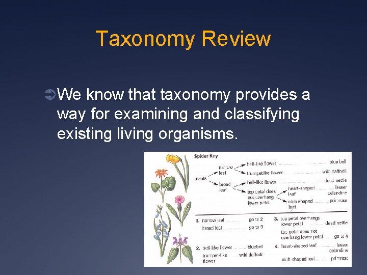 Taxonomy Review Ü We know that taxonomy provides a way for examining and classifying
