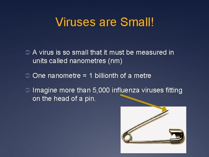 Viruses are Small! Ü A virus is so small that it must be measured
