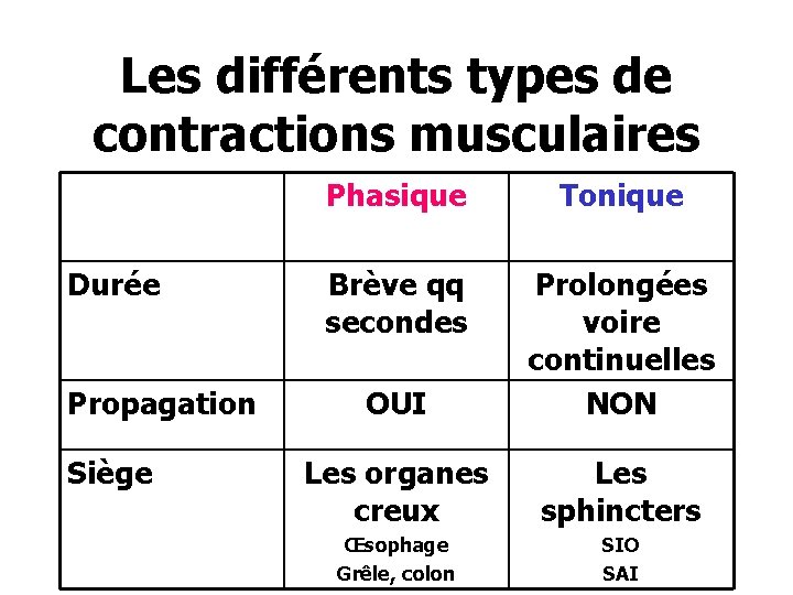 Les différents types de contractions musculaires Durée Propagation Siège Phasique Tonique Brève qq secondes