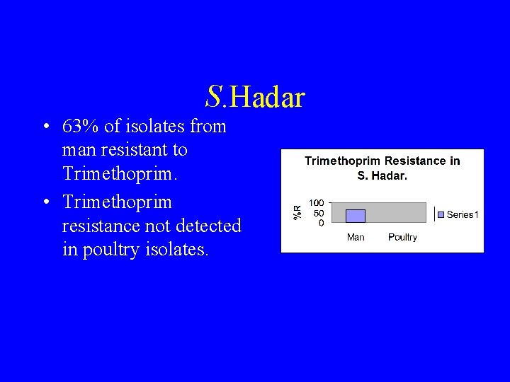 S. Hadar • 63% of isolates from man resistant to Trimethoprim. • Trimethoprim resistance