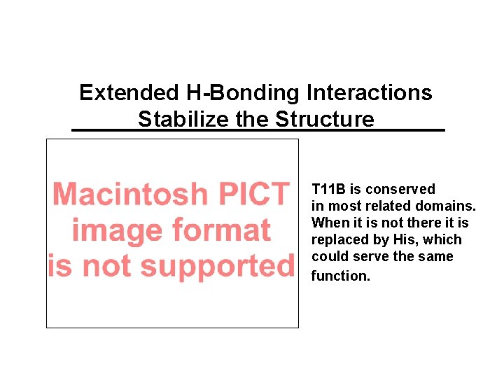 Extended H-Bonding Interactions Stabilize the Structure T 11 B is conserved in most related