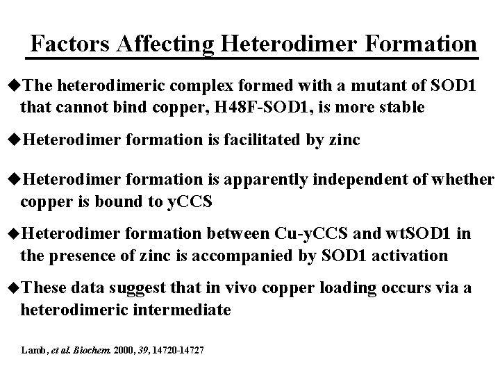 Factors Affecting Heterodimer Formation u. The heterodimeric complex formed with a mutant of SOD