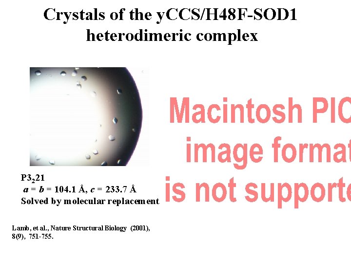 Crystals of the y. CCS/H 48 F-SOD 1 heterodimeric complex P 3221 a =