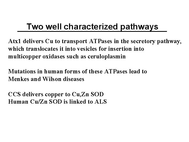 Two well characterized pathways Atx 1 delivers Cu to transport ATPases in the secretory