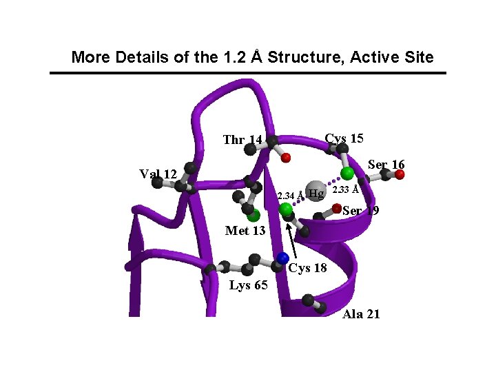 More Details of the 1. 2 Å Structure, Active Site Cys 15 Thr 14