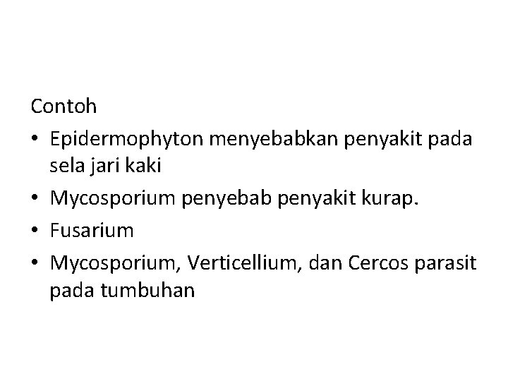 Contoh • Epidermophyton menyebabkan penyakit pada sela jari kaki • Mycosporium penyebab penyakit kurap.