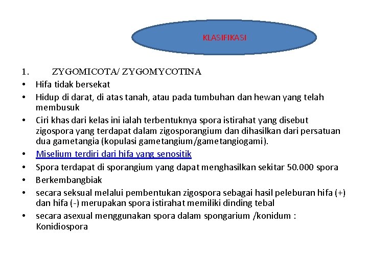 KLASIFIKASI 1. ZYGOMICOTA/ ZYGOMYCOTINA • Hifa tidak bersekat • Hidup di darat, di atas