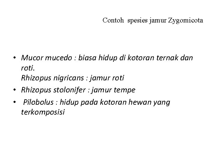 Contoh spesies jamur Zygomicota • Mucor mucedo : biasa hidup di kotoran ternak dan