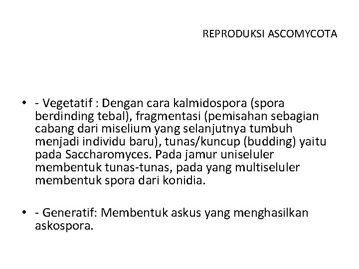 REPRODUKSI ASCOMYCOTA • - Vegetatif : Dengan cara kalmidospora (spora berdinding tebal), fragmentasi (pemisahan