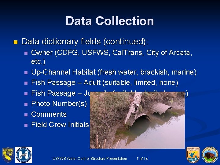 Data Collection n Data dictionary fields (continued): n n n n Owner (CDFG, USFWS,