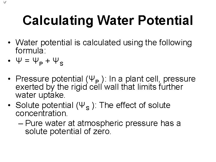 Calculating Water Potential • Water potential is calculated using the following formula: • Ψ