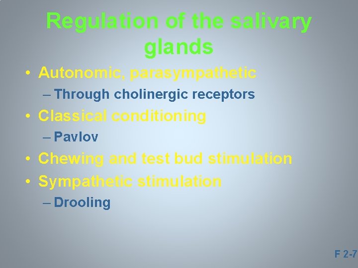 Regulation of the salivary glands • Autonomic, parasympathetic – Through cholinergic receptors • Classical