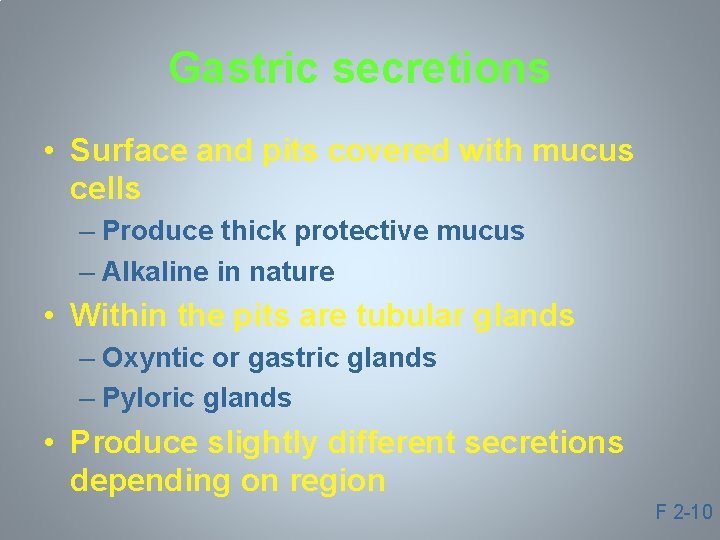 Gastric secretions • Surface and pits covered with mucus cells – Produce thick protective