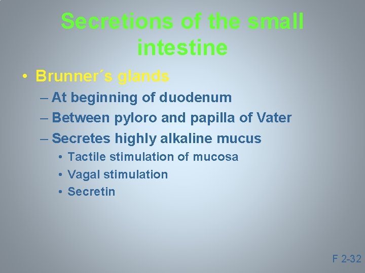 Secretions of the small intestine • Brunner´s glands – At beginning of duodenum –