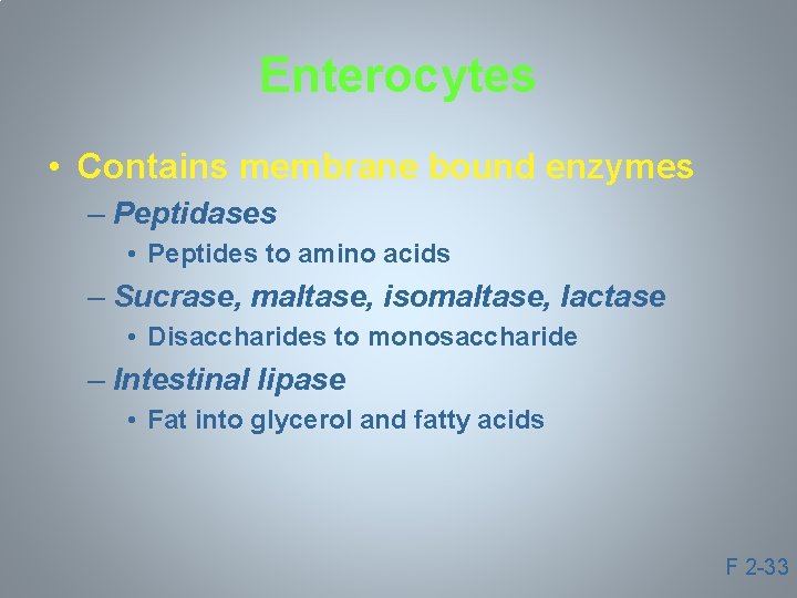 Enterocytes • Contains membrane bound enzymes – Peptidases • Peptides to amino acids –